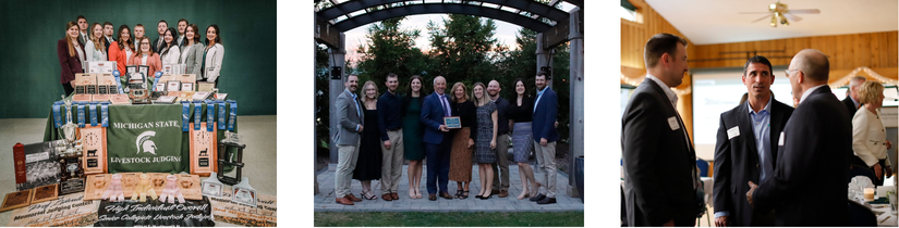 Organizations and Teams.png